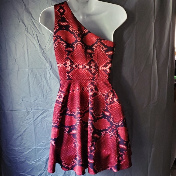 NBD x Naven Twins Flirty Fit & Flare Dress - Picture 7 of 10